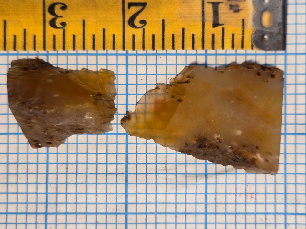Agatized Palm Slab