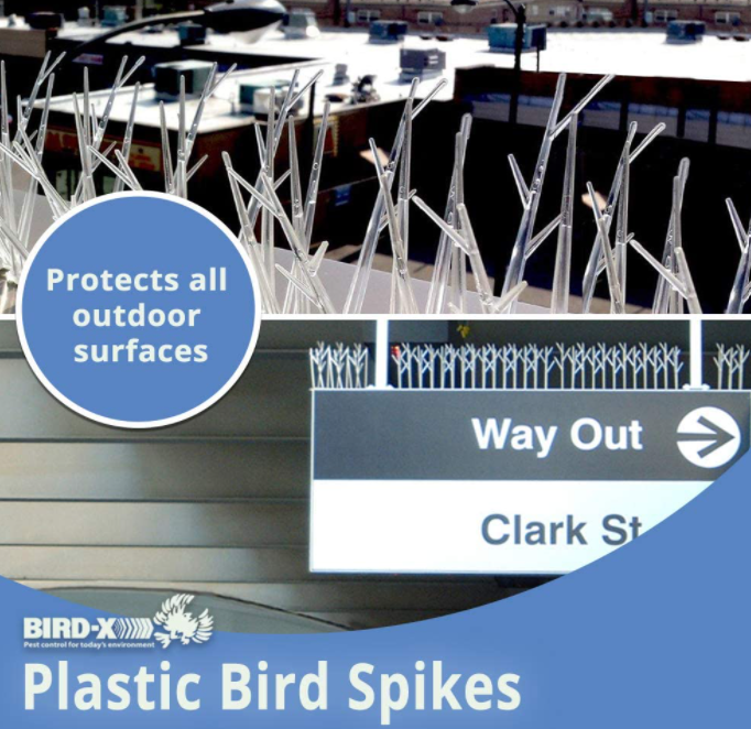 Bird-X Plastic Polycarbonate Bird Spikes Kit Adhesive Glue Covers 10ft Coverage