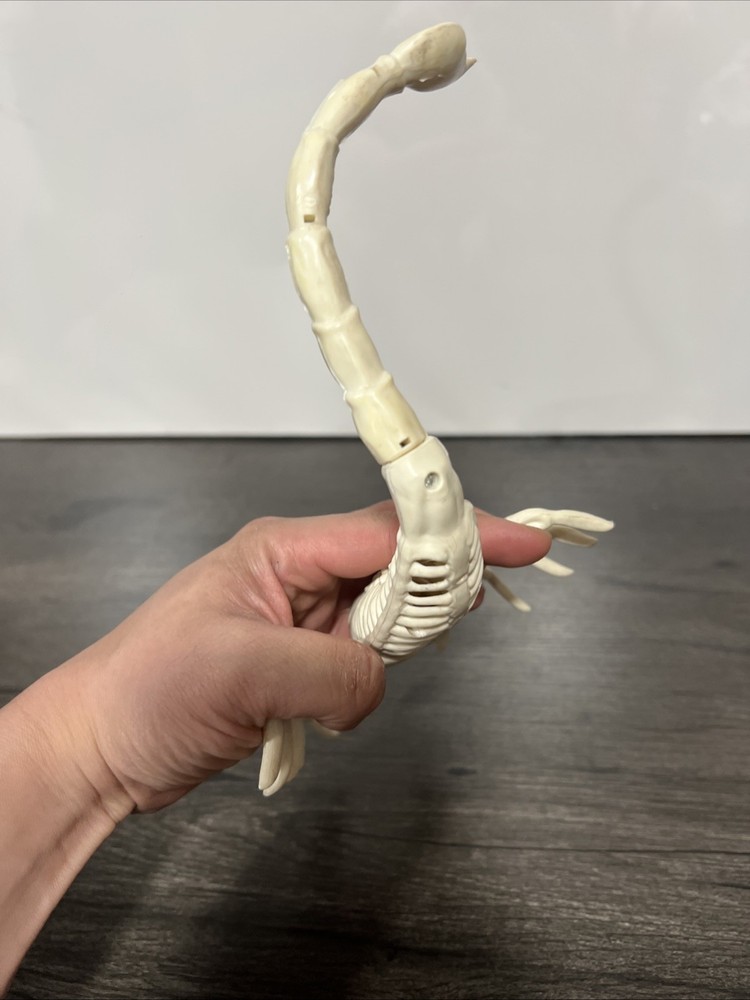 Halloween Scorpion Skeleton Figure