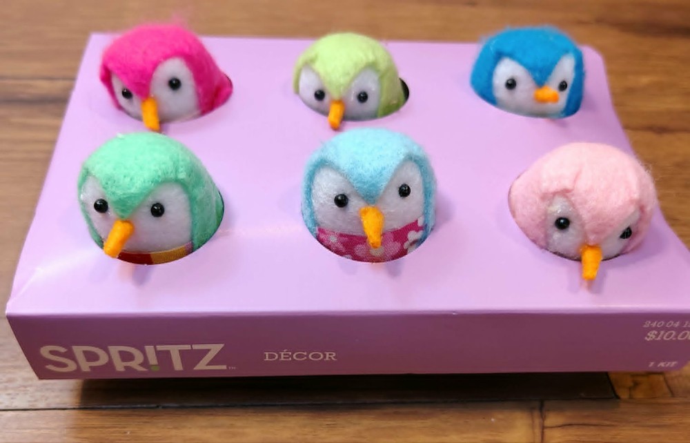 2025 Target Spritz Bird EASTER Spring Featherly Friends 6 pc Fabric Egg Carton
