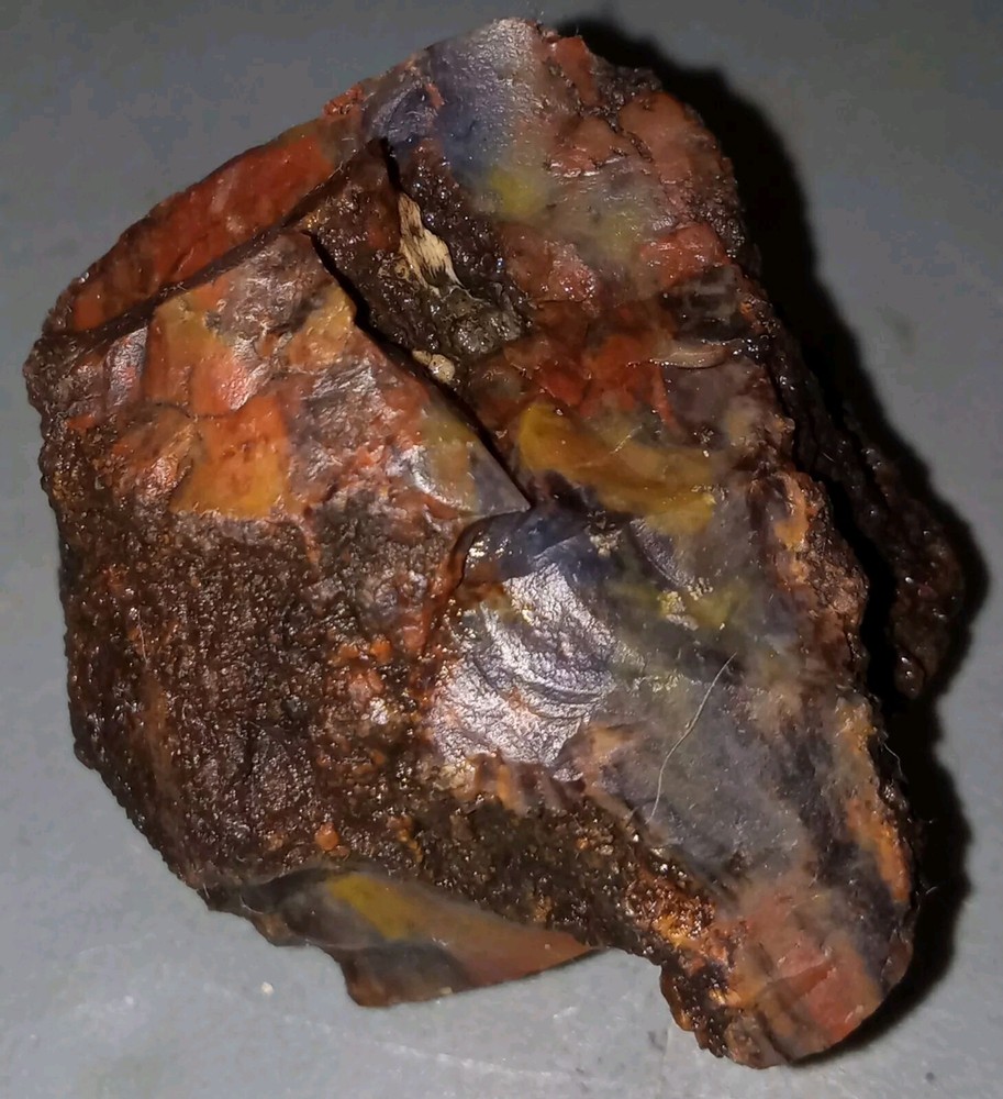 Petrified Wood Rough Specimen AZ 50g