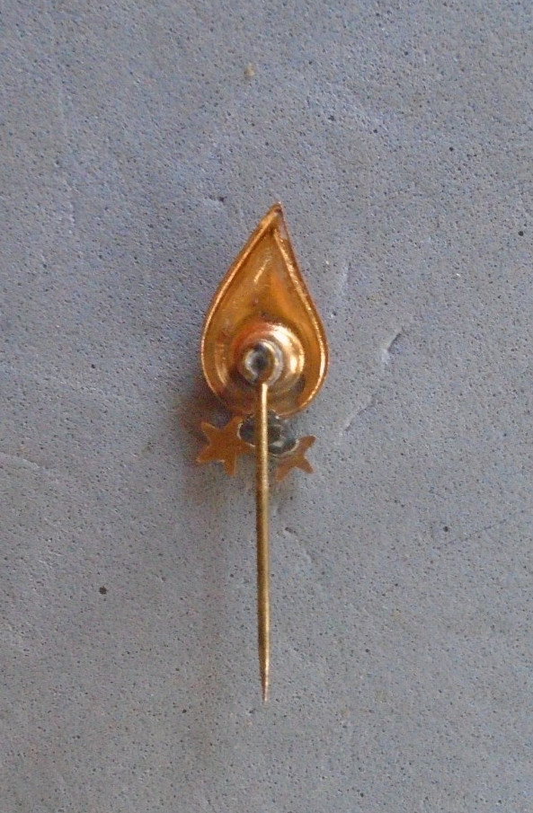 American Red Cross two gallon donor stick pin