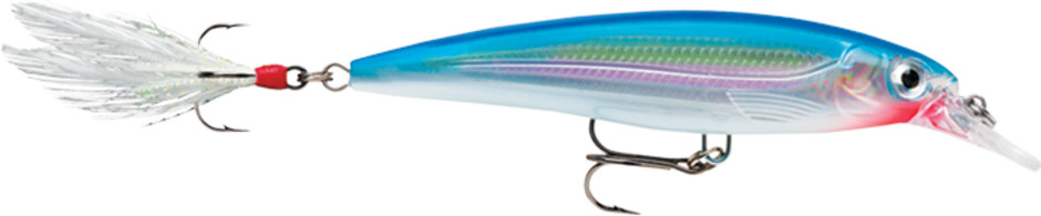 Rapala           X-RAP     Minnow            XR10            Silver Blue
