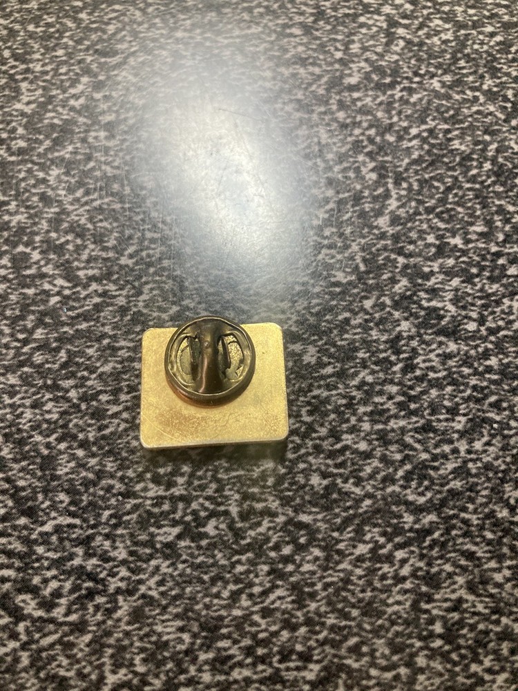 WESTINNGHOUSE QUALITY CIRCLES PIN