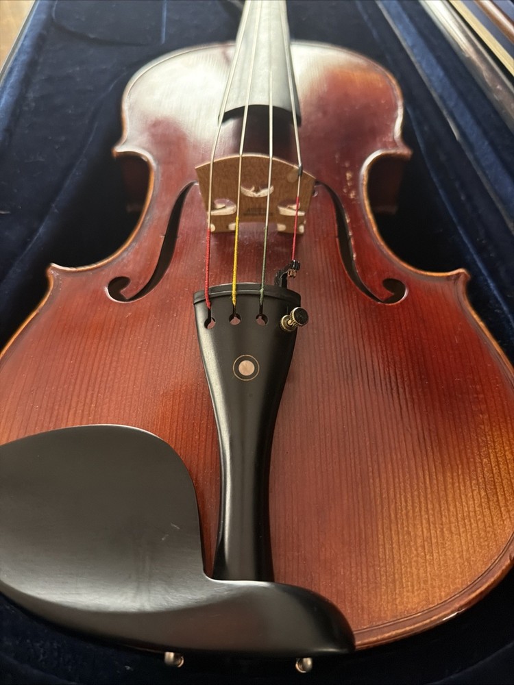 Viola Carlo Robelli