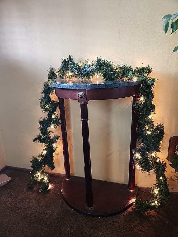 Regal 9 Ft Loghted Garland With 50 Light Set