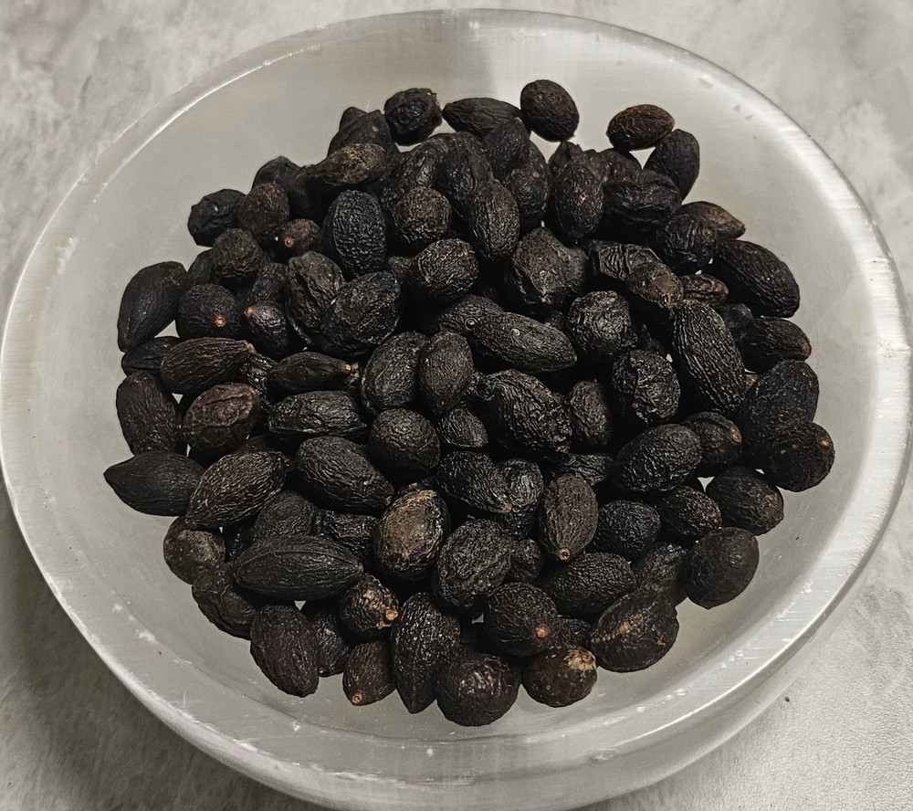 Saw Palmetto Berries Whole