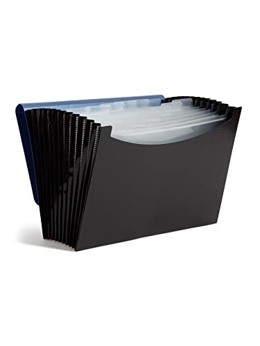 Poly Frequency Expanding File, 12 Pockets, Flap and Cord Closure, Letter
