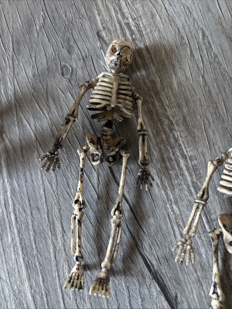 1/6th Scale Skeleton Model Halloween Decoration