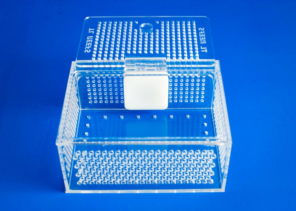 TL Reefs Mushroom Coral Acclimation Box