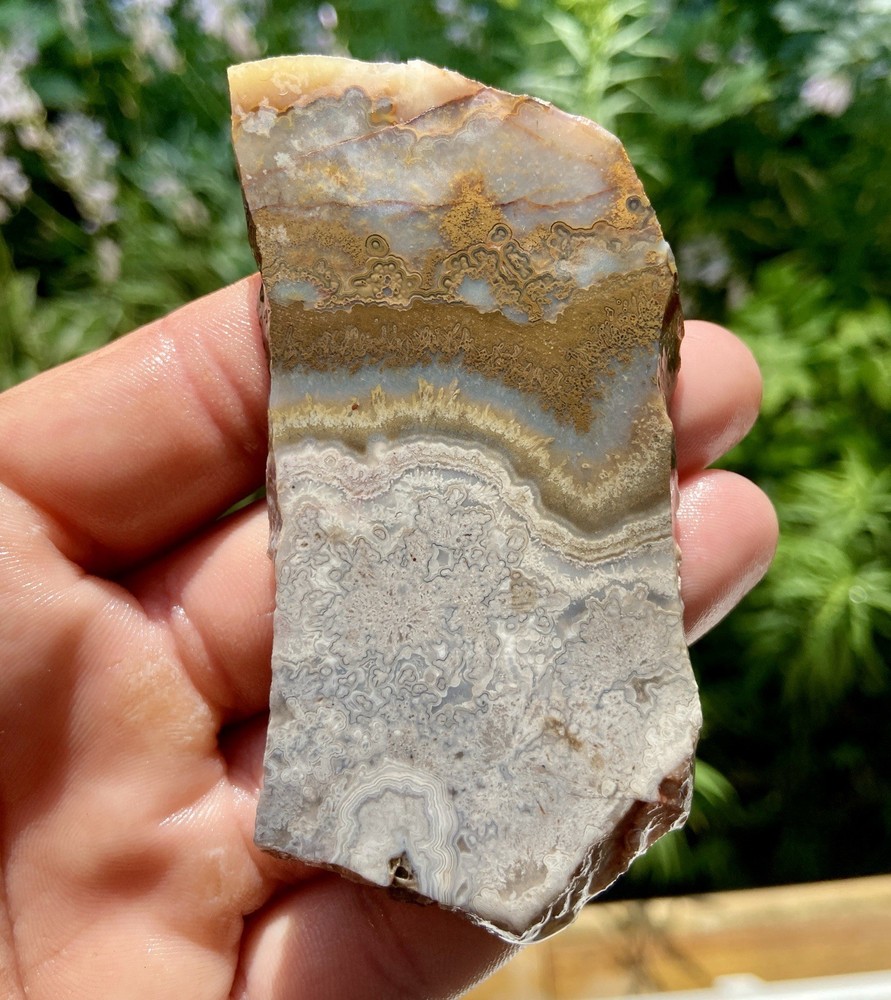 White Crazy Lace Agate Slab 2 Oz