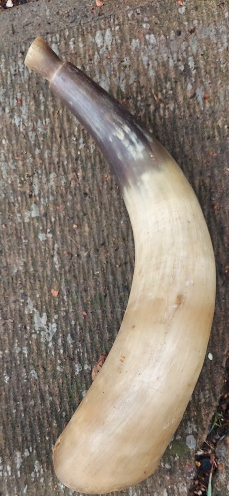 Vintage Powder horn