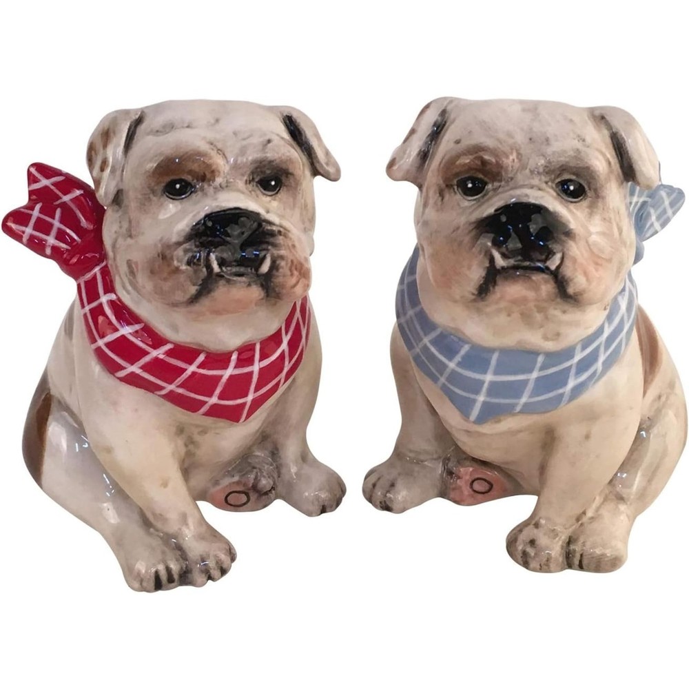Blue Sky Ceramics Penelope Salt & Pepper Set, Multi