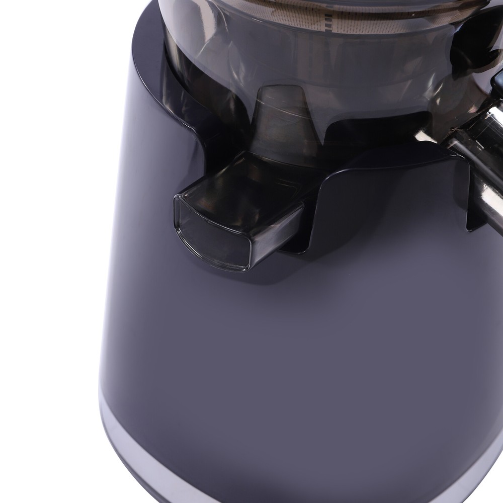 Kitchen Juicer Masticating Juicer Machine Squeezing Fruit Extractor Juicer 250W