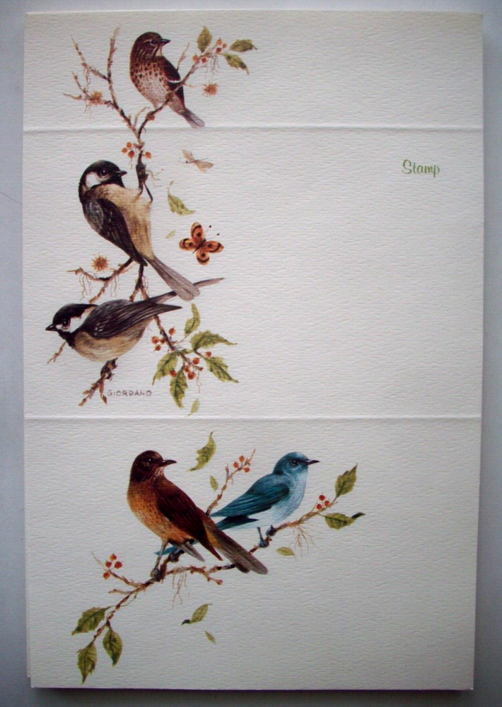 Brightnotes Violets and backyard birds vintage fold up notes stationary