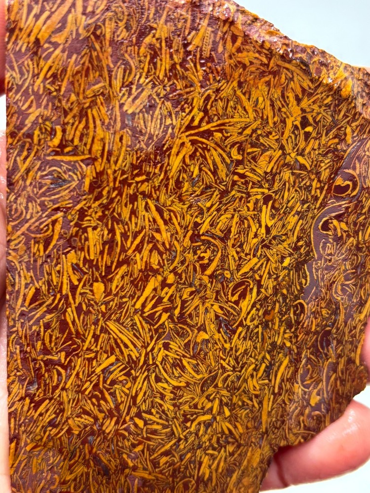 Script Stone Jasper Slab Cabbing Lapidary Collecting Combo Ship Avail