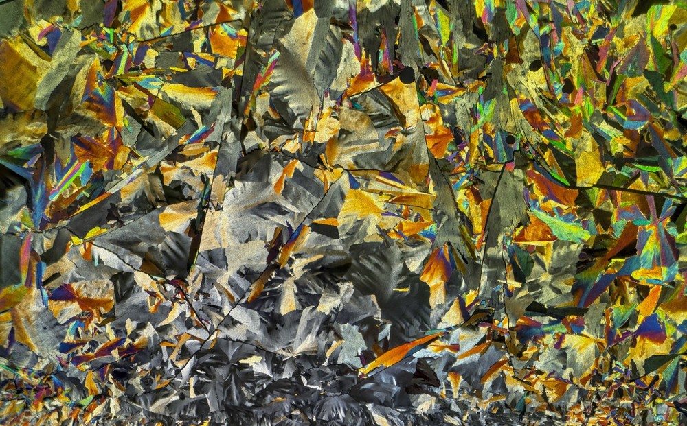 Microscope slide for polarization, GLUTARIC ACID (melt)