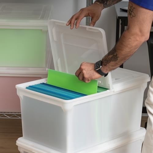 File Box, File Organizer w/Hinged Split Lid for Letter File, Wing Lid - 4 Pack