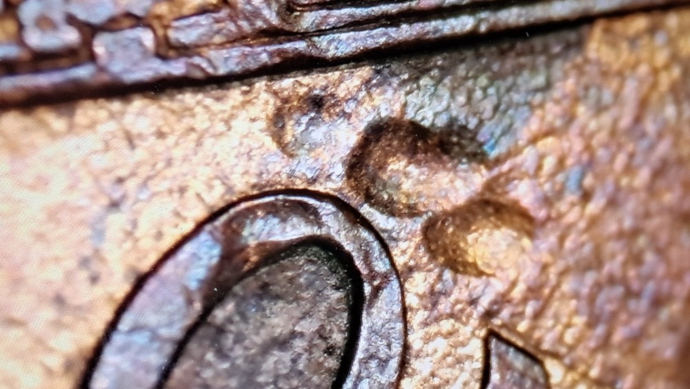 PAW PRINT MINT ERROR OR POST MINT DAMAGE?MACHINE DOUBLING, THIN COPPER LAYER#519