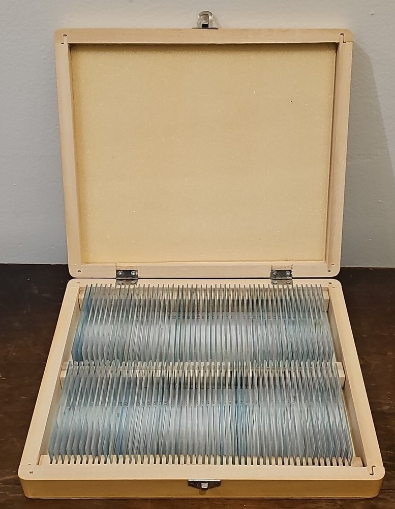 AmScope Prepared Slides - Box Of 50