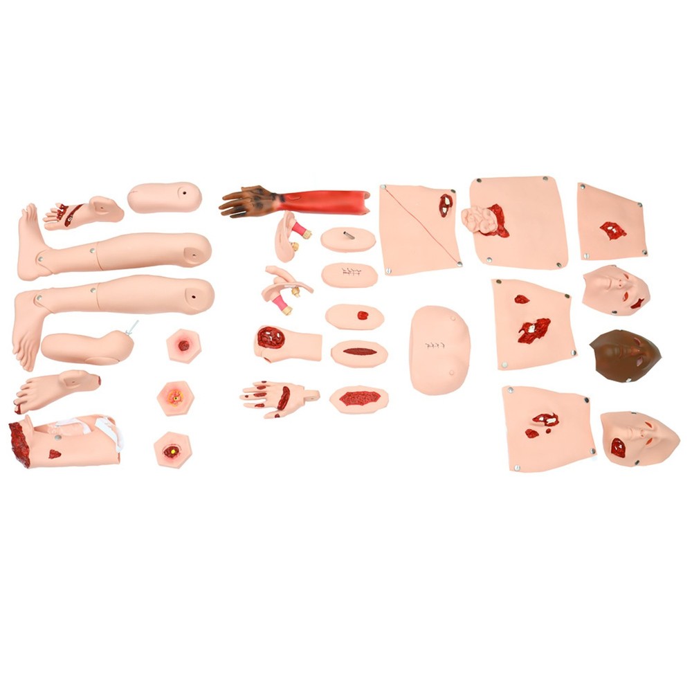 Patient Care Burn Teaching Model Nursing Care Training Manikin 24 Wound Modules