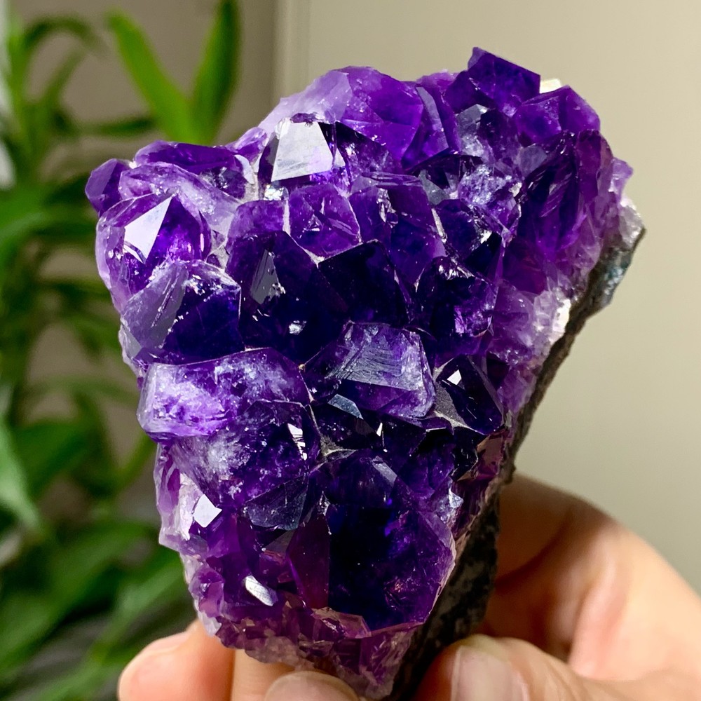 235G Natural Amethyst geode quartz clustercrystal specimen Healing