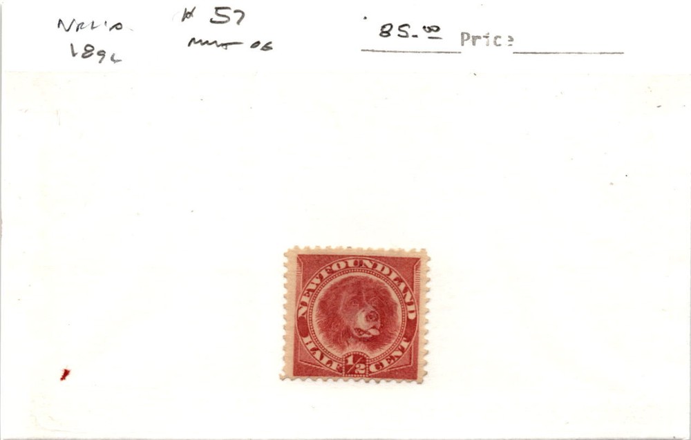 Newfoundland, Postage Stamp, #57 Mint Hinged, 1896 Dog (AF)