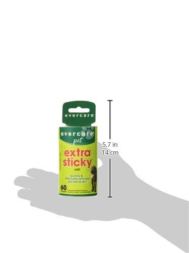 Pet Lint Roller 60 Layer Refill 1count Green