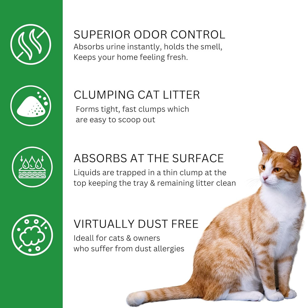 Cat Litter 2,27 Kg/5 Lb (76)