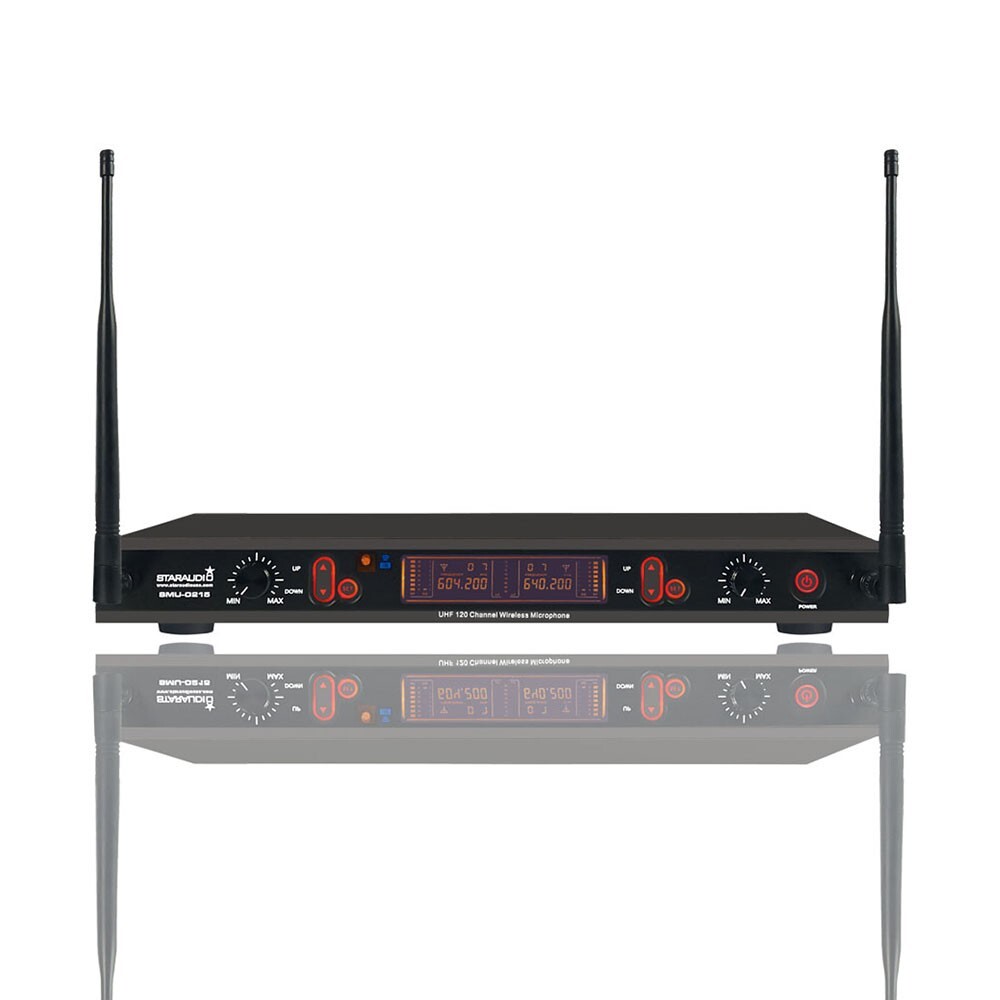 Wireless Microphones System Dynamic 2Channel Handheld Mic Karaoke UHF Microphone