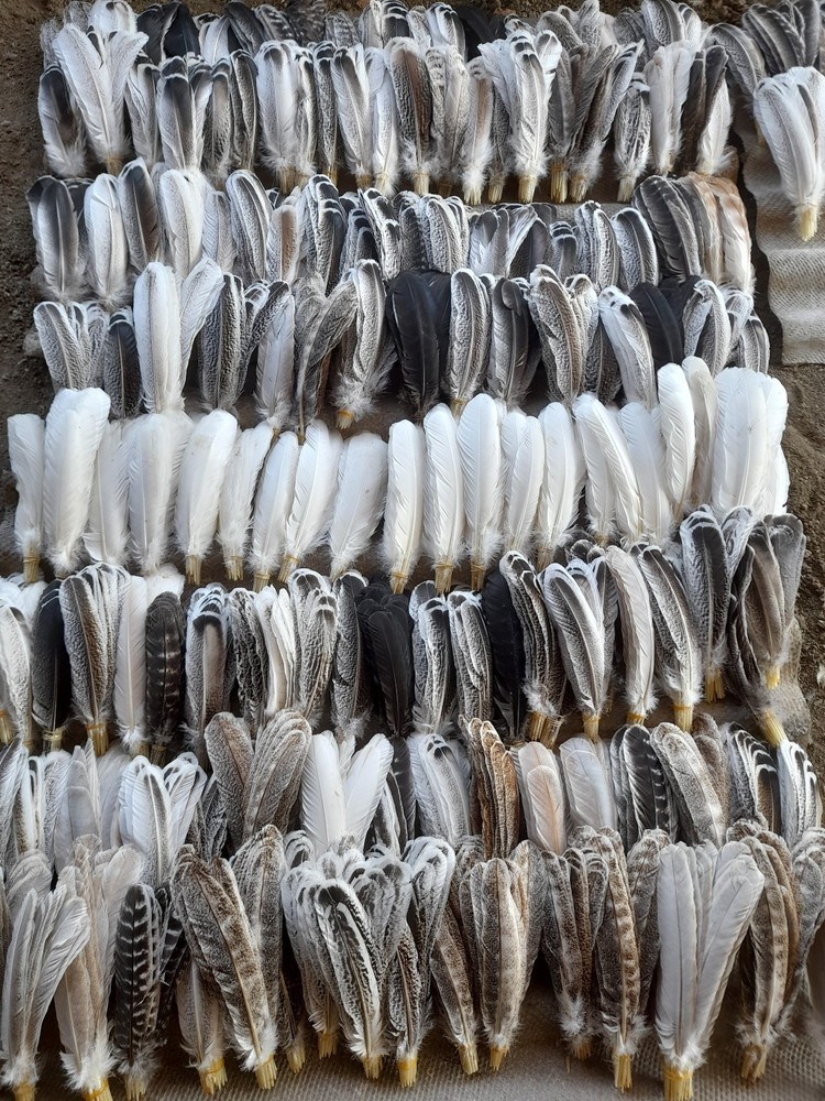 30 Pcs White Turkey Pre-Tail Feathers,Fly Tying Materials,Smudging Feathers W470