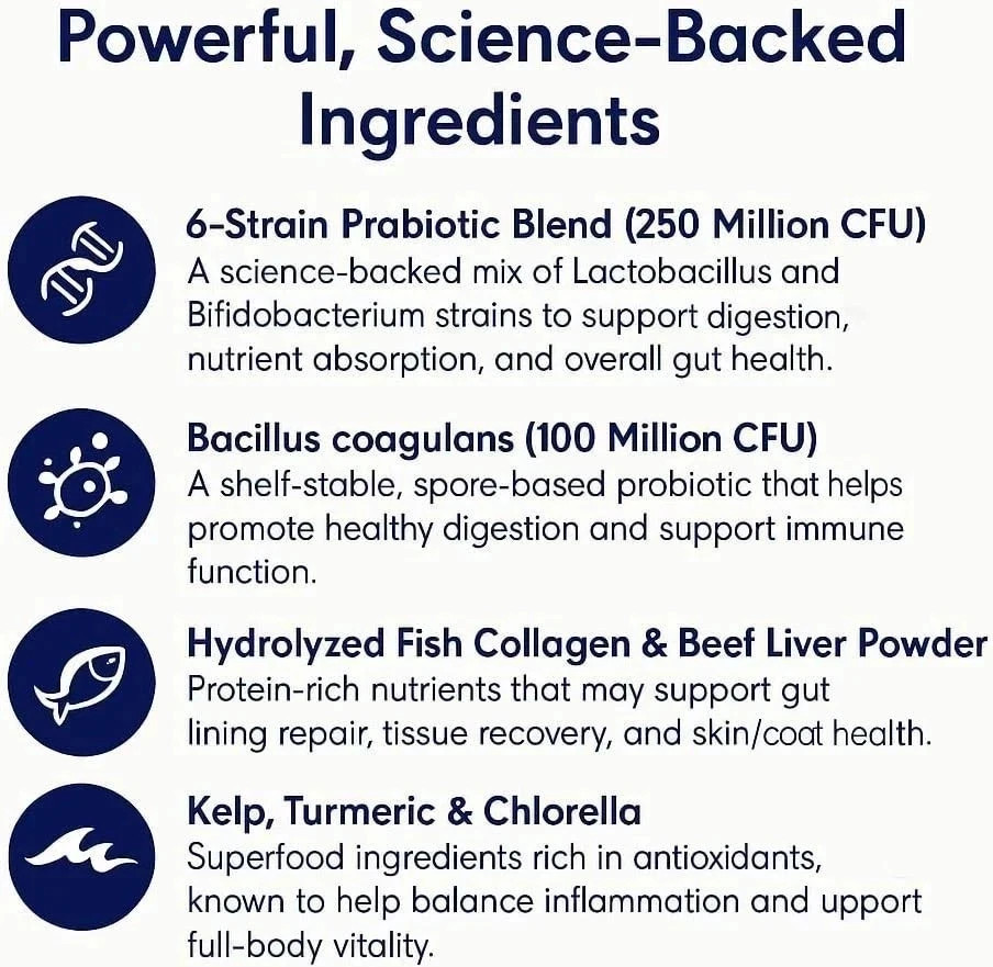 Blisso Advanced Cat Probiotic Drops Digestive Support for Cats with Diarrhea US