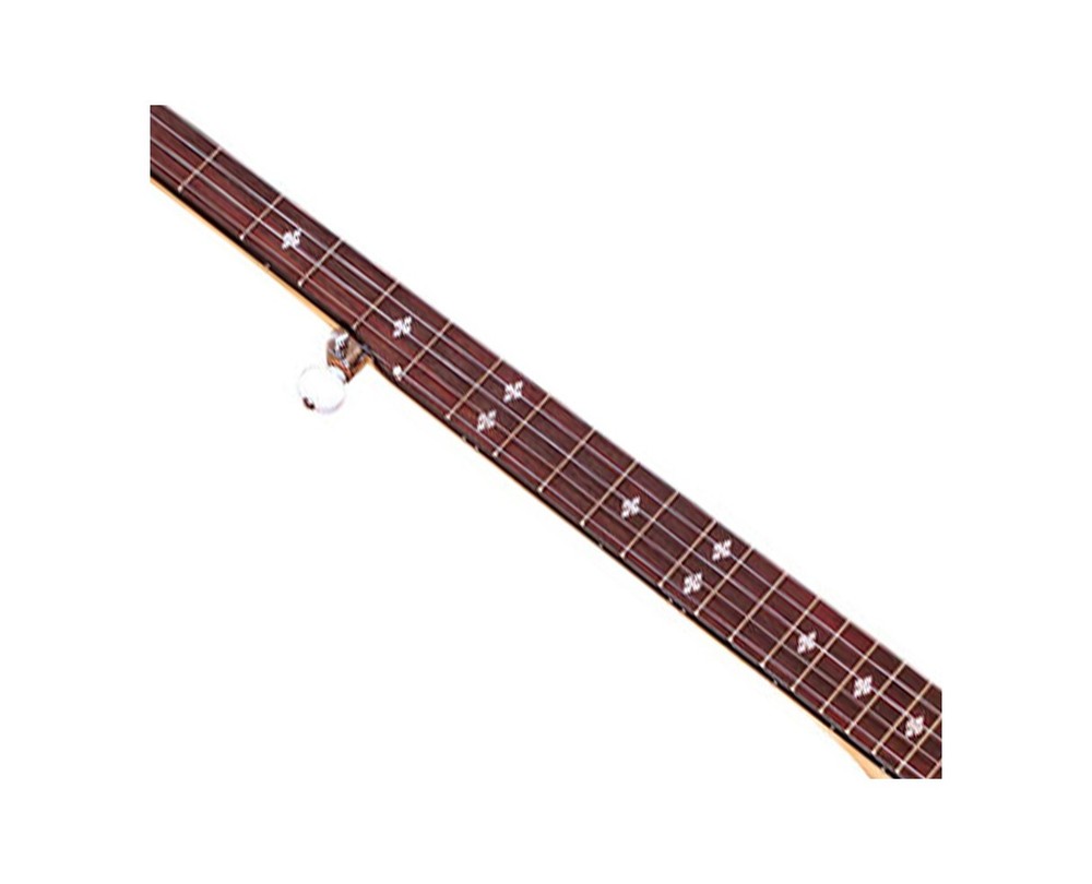 Gold Tone CC-100R Intermediate Resonator Banjo Lefty