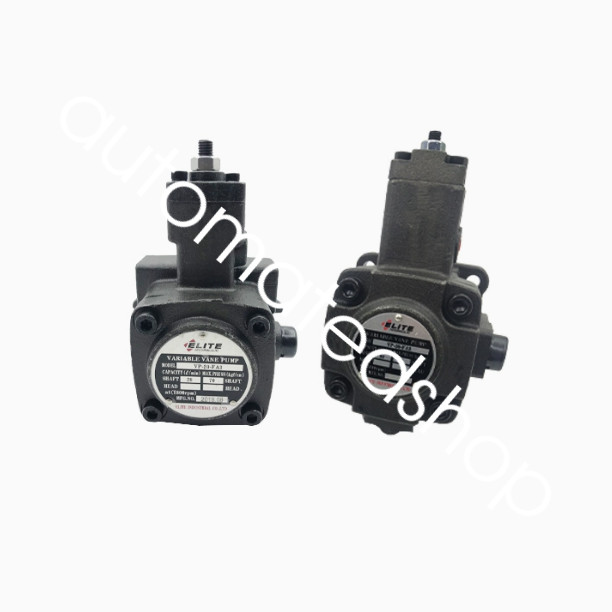 NEW ELITE Variable Vane Pump VP-30-30-FA3