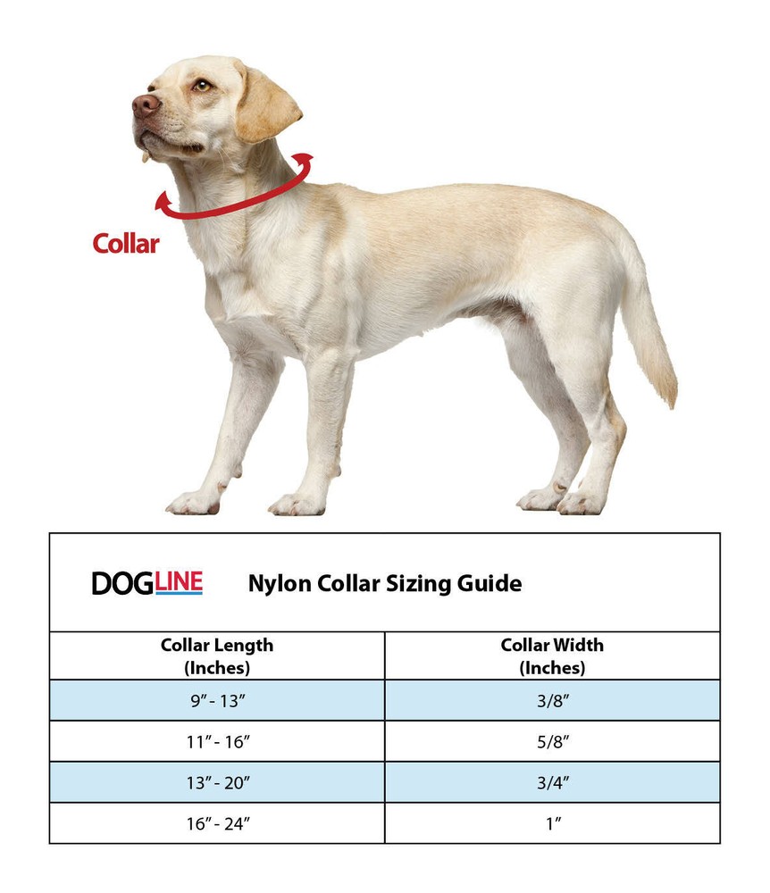 Nylon Pet Dog Collar Custom Embroidery Adjustable Quick Release Durable