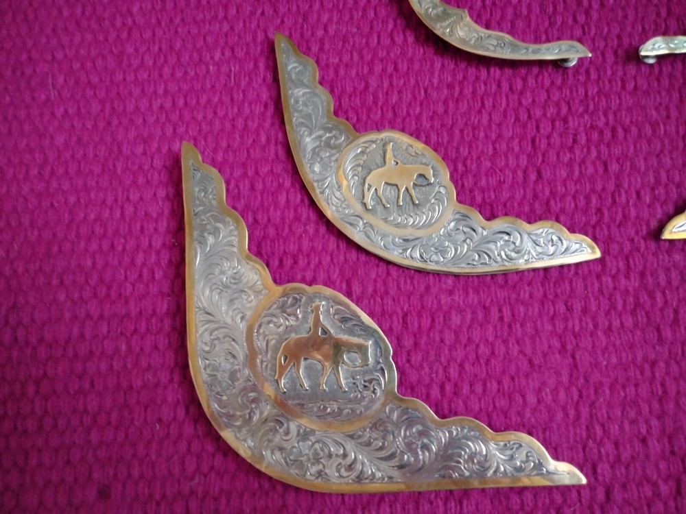 Western Saddle Silver Trim