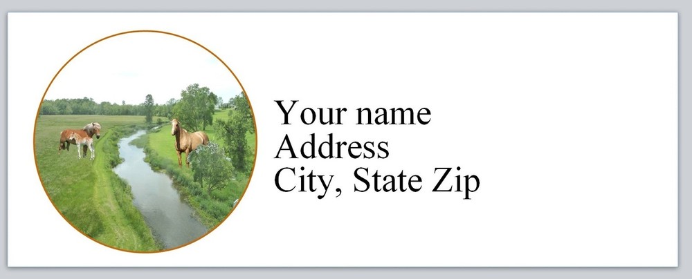 Personalized Address Labels Horse (AC 830)