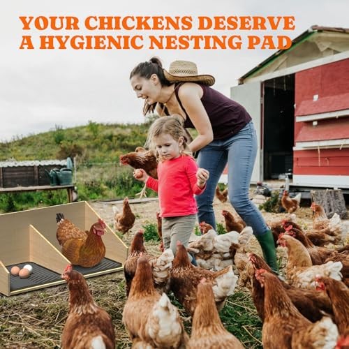 Chicken Nesting Box Liners: Washable Nesting Pads for Laying Grey - 10Pack