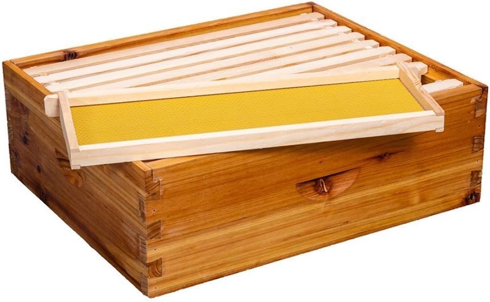 10 Frame Langstroth Medium Bee Hive Box Wax Coated Unassembled Frames Kit