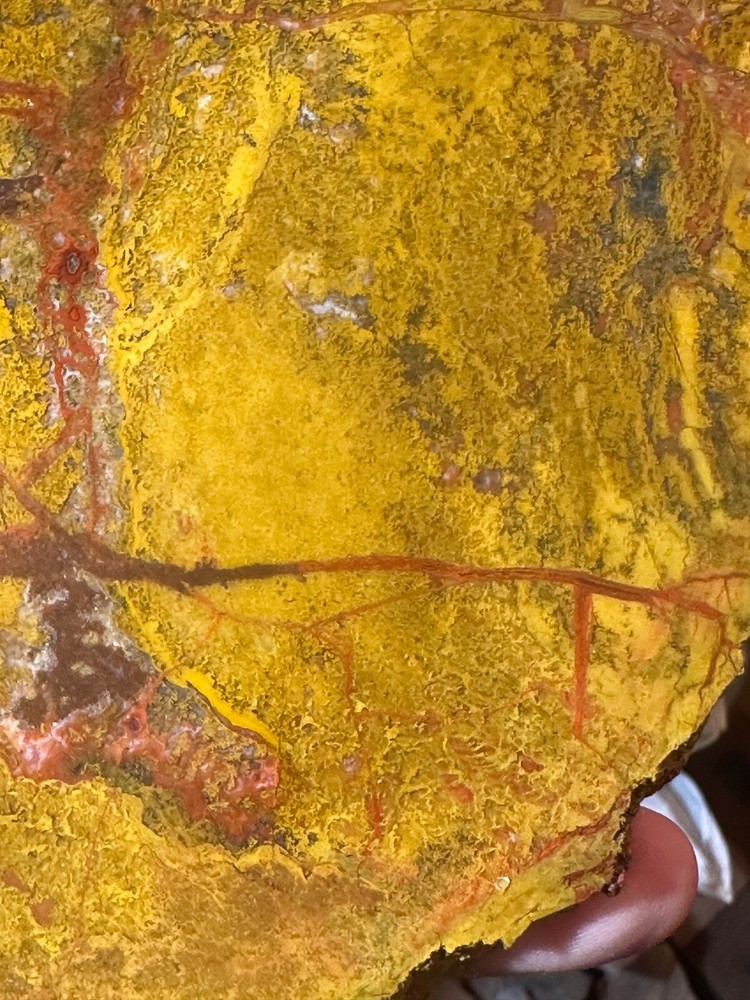 Beautiful Utah Yellowcat **hxtled agate.