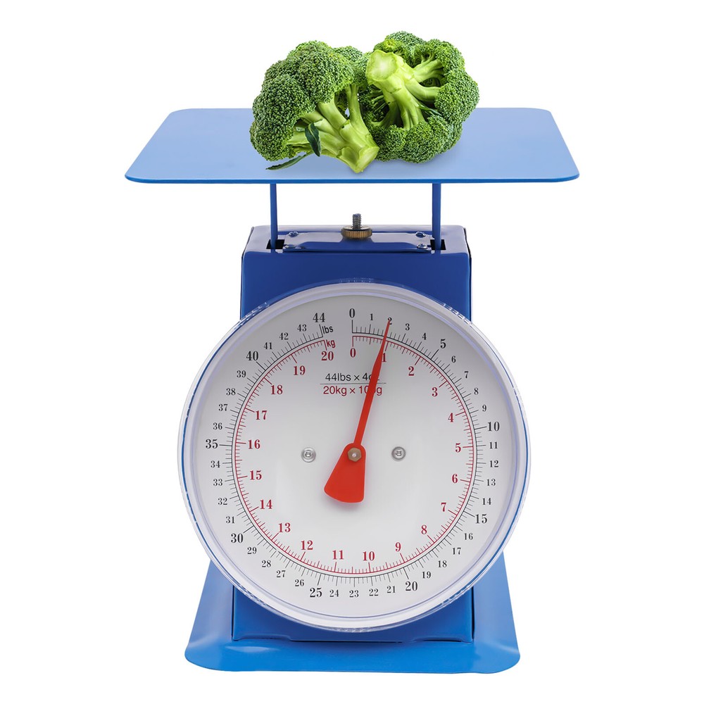 Industrial Dial Scale Heavy Duty Portion-Control Mechanical Scale Mechanical