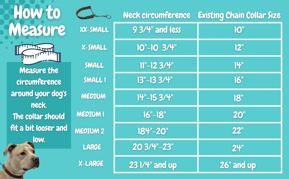 Joel Silverman Alternative Training Collar - Gentle No-Pull Dog Leash Leather