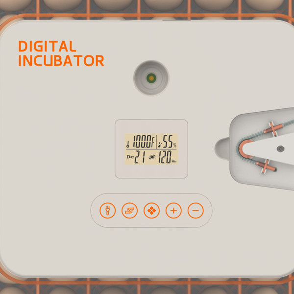 New Incubator Egg Automatic 56 Egg Turning Egg Hatching Temp & Humidity Control