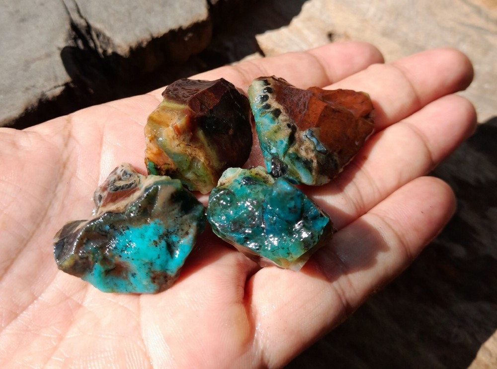 Get 4pc, Rare Natural Blue Opalized Petrified Wood, Indo Java Gem Minerals