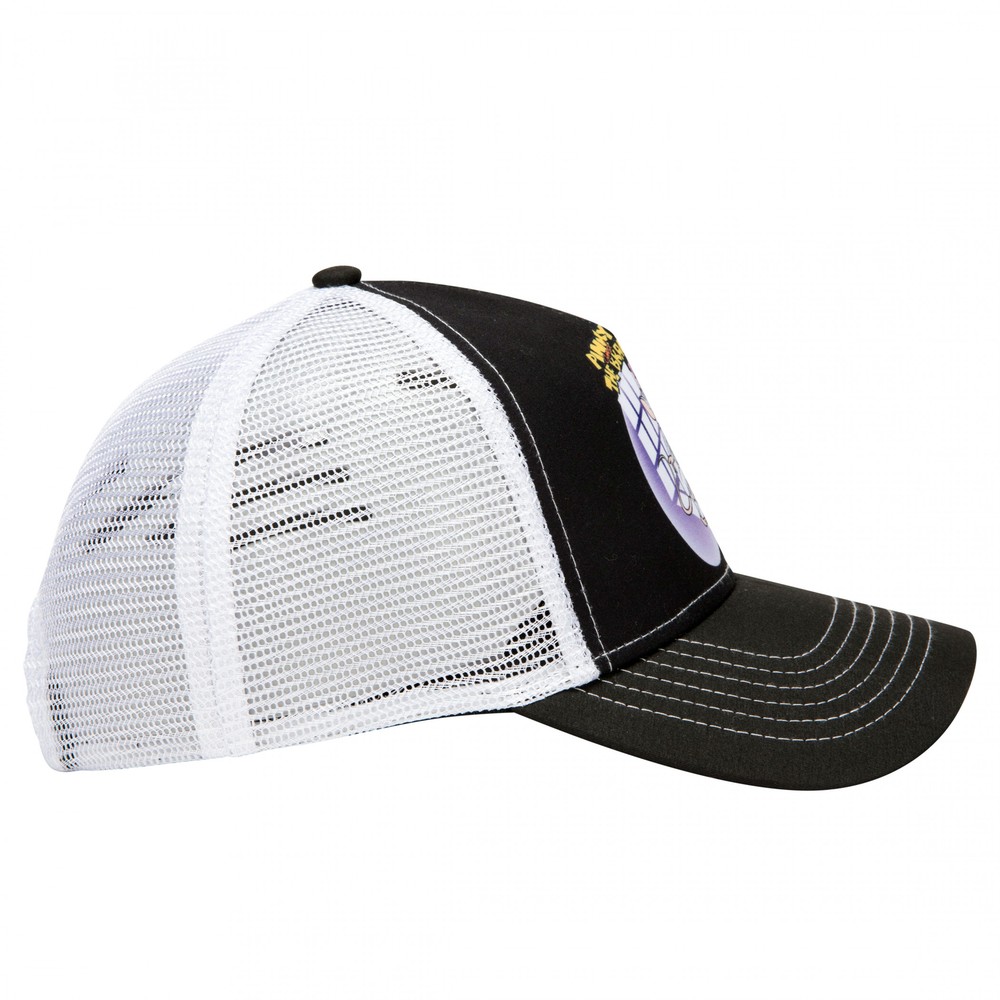 Pinky and The Brain Take Over The World Adjustable Hat Multi-Color