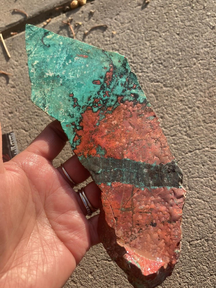 Sonora Sunset Slab (Mexico)