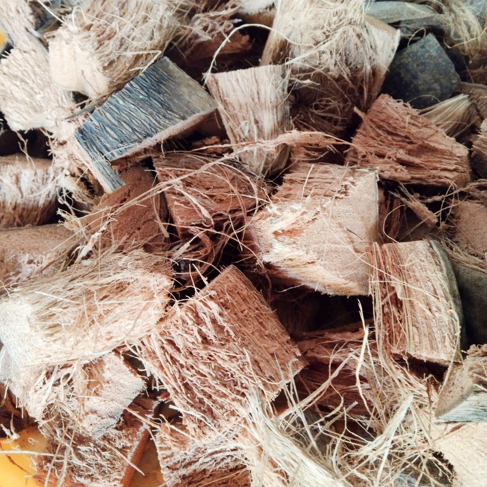COCONUT HUSK CHIPS Anthurium GROWING MEDIUM moderate MOISTURE LEVEL Free Ship