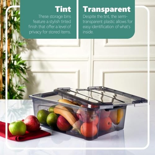 12.5 Quart Storage Bins with Lids, Plastic Storage Containers with Latching