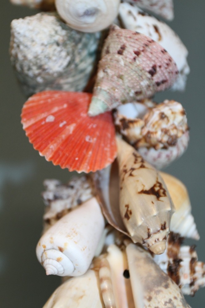 SHELL MOBILE, Beach Home Deck Decor, Hanging Shell Decor, Bath Decor, G-04