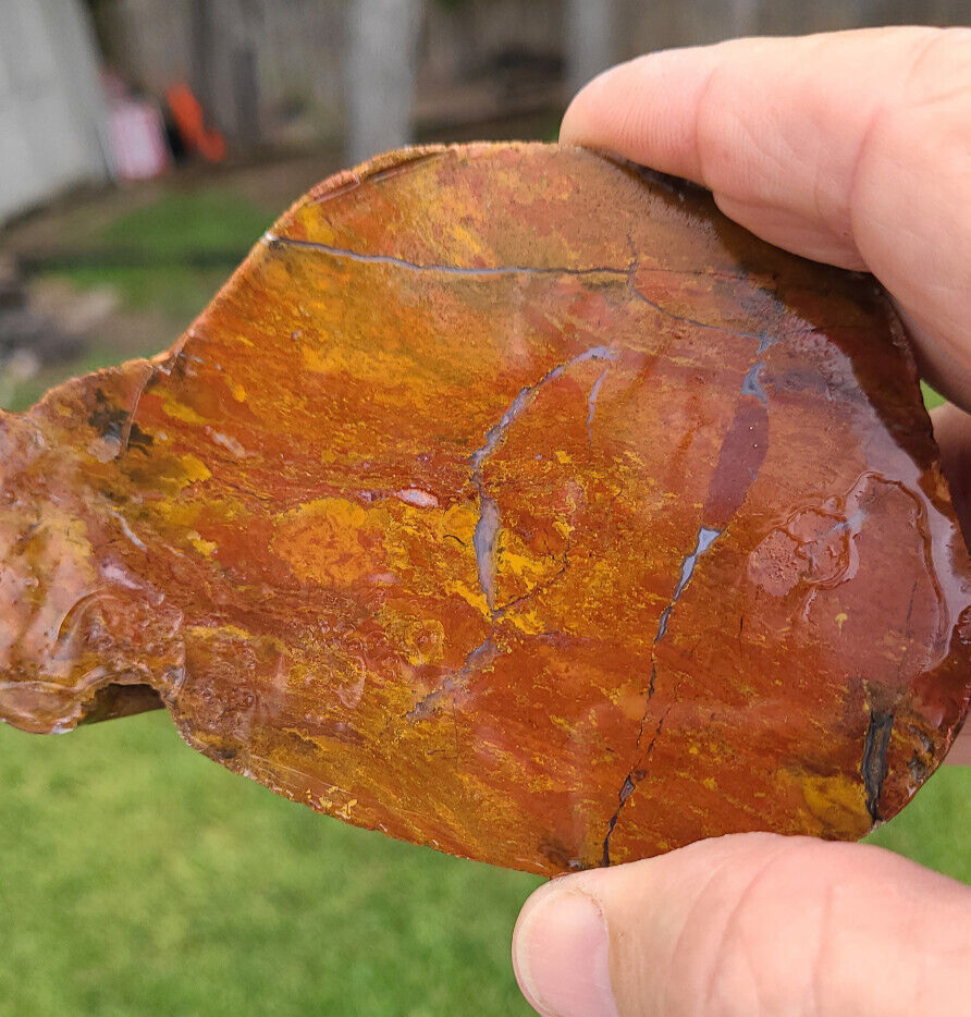 Red and Yellow Moss Agate Rough
